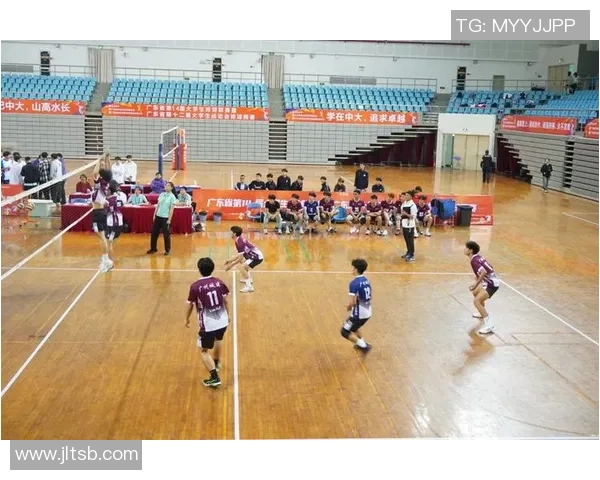 排球盛宴：深入广州排球队的团队协作与默契之道